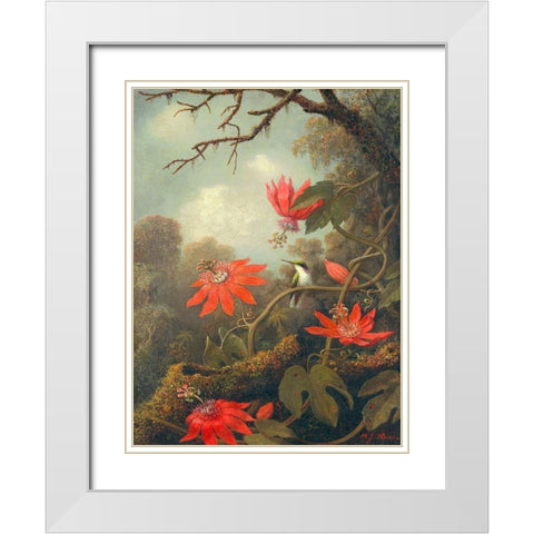 Hummingbird and Passionflowers White Modern Wood Framed Art Print with Double Matting by Heade, Martin Johnson