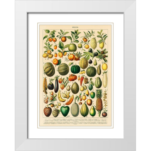 Fruits and Vegetables White Modern Wood Framed Art Print with Double Matting by Millot, Adolphe