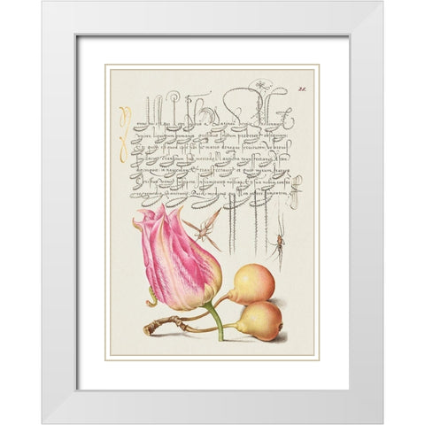From the Model Book of Calligraphy-VII White Modern Wood Framed Art Print with Double Matting by Hoefnagel, Bocskay