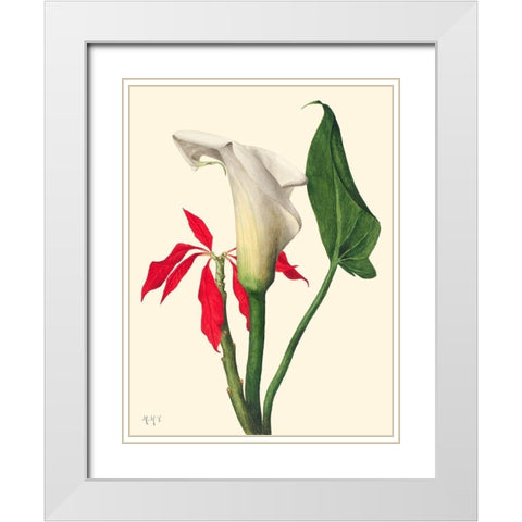 Calla Lily-1877 White Modern Wood Framed Art Print with Double Matting by Walcott, Mary Vaux