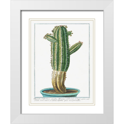 Tithymalus White Modern Wood Framed Art Print with Double Matting by Bonelli, Giorgio