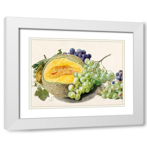 Fruits II White Modern Wood Framed Art Print with Double Matting by van Huysum, Michiel