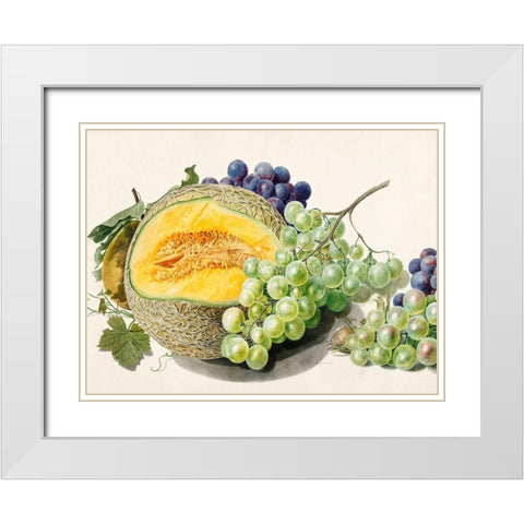 Fruits II White Modern Wood Framed Art Print with Double Matting by van Huysum, Michiel
