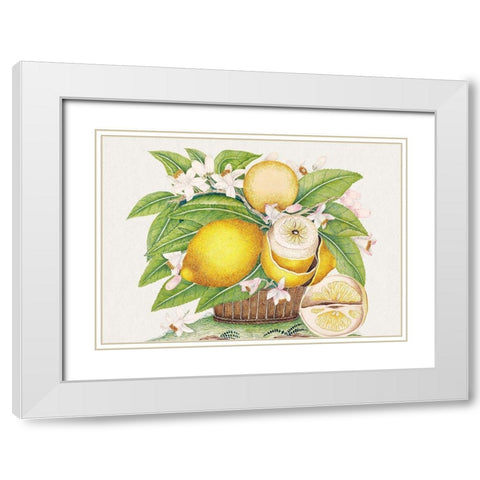 Basket of lemons White Modern Wood Framed Art Print with Double Matting by Anonymous