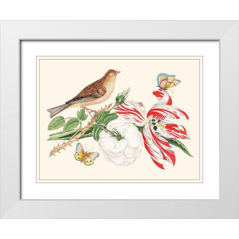 A Bird on a branch with Rose-Tulip and Butterflies White Modern Wood Framed Art Print with Double Matting by Anonymous