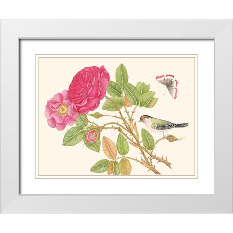 A bird on rose branch White Modern Wood Framed Art Print with Double Matting by Anonymous