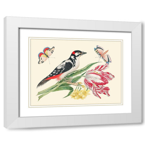 A Bird on Tulip stem with Daffodils White Modern Wood Framed Art Print with Double Matting by Anonymous