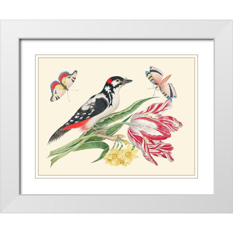 A Bird on Tulip stem with Daffodils White Modern Wood Framed Art Print with Double Matting by Anonymous
