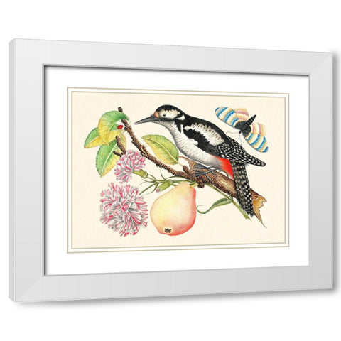 A bird perched on a branch I White Modern Wood Framed Art Print with Double Matting by Anonymous