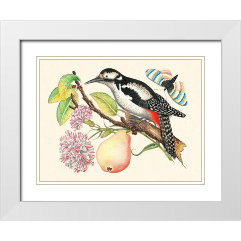 A bird perched on a branch I White Modern Wood Framed Art Print with Double Matting by Anonymous
