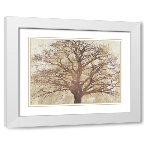 Sacred Oak White Modern Wood Framed Art Print with Double Matting by Aprile, Alessio