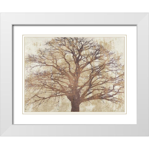 Sacred Oak White Modern Wood Framed Art Print with Double Matting by Aprile, Alessio