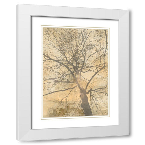 Below My Tree I White Modern Wood Framed Art Print with Double Matting by Aprile, Alessio