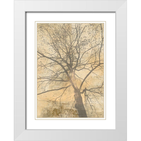 Below My Tree I White Modern Wood Framed Art Print with Double Matting by Aprile, Alessio