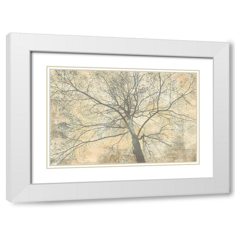 Below My Tree II White Modern Wood Framed Art Print with Double Matting by Aprile, Alessio