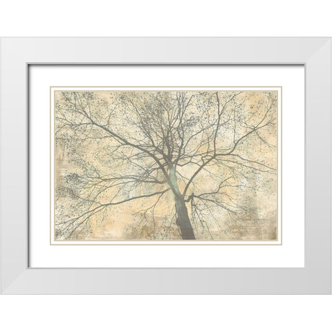 Below My Tree II White Modern Wood Framed Art Print with Double Matting by Aprile, Alessio