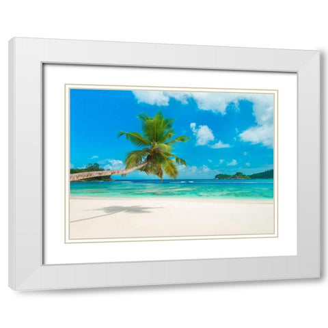 Tropical beach, Seychelles (detail) White Modern Wood Framed Art Print with Double Matting by Anonymous