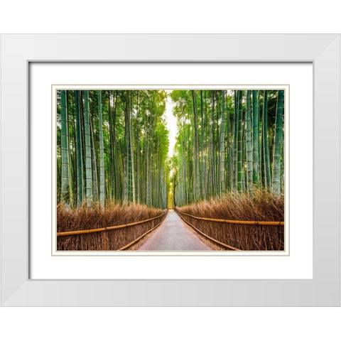 Bamboo Forest- Kyoto- Japan White Modern Wood Framed Art Print with Double Matting by Pangea Images