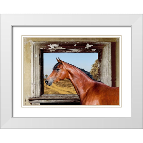 Arab King White Modern Wood Framed Art Print with Double Matting by Lauren, Julian