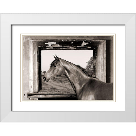 Arab King (BW) White Modern Wood Framed Art Print with Double Matting by Lauren, Julian