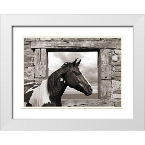 Painted Horse (BW) White Modern Wood Framed Art Print with Double Matting by Lauren, Julian