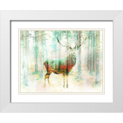 Lord of the Woods White Modern Wood Framed Art Print with Double Matting by Arlo Wren Photos