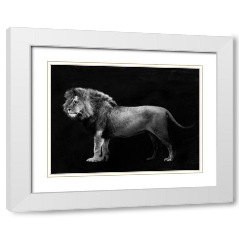 Panthera Leo White Modern Wood Framed Art Print with Double Matting by Julian, Lauren