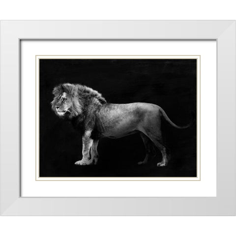 Panthera Leo White Modern Wood Framed Art Print with Double Matting by Julian, Lauren