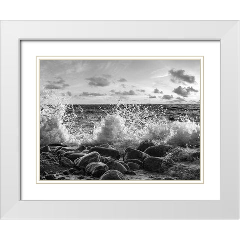 Waves crashing, Point Reyes, California (BW) White Modern Wood Framed Art Print with Double Matting by Pangea Images