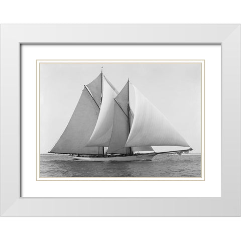 Merlin White Modern Wood Framed Art Print with Double Matting by Anonymous