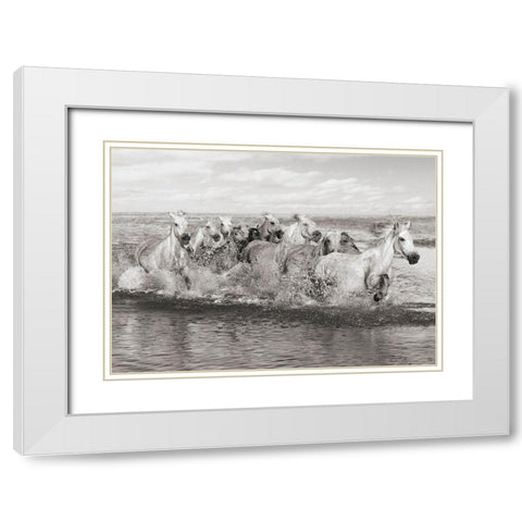 Herd of Horses- Camargue White Modern Wood Framed Art Print with Double Matting by Pangea Images