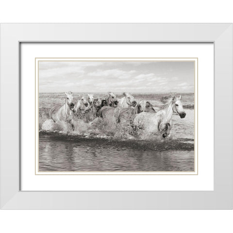 Herd of Horses- Camargue White Modern Wood Framed Art Print with Double Matting by Pangea Images