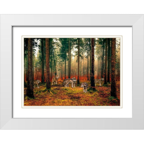 Pack of Wolves in the Woods White Modern Wood Framed Art Print with Double Matting by Pangea Images