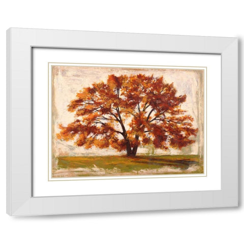 Mattino White Modern Wood Framed Art Print with Double Matting by Bacci, Leonardo