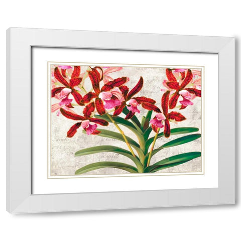 Botanique Moderne I White Modern Wood Framed Art Print with Double Matting by Dellal, Remy