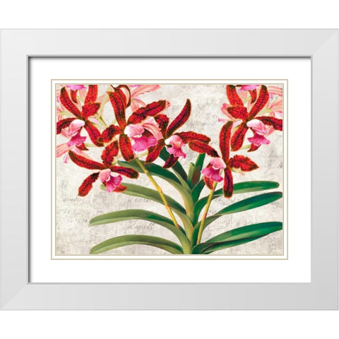 Botanique Moderne I White Modern Wood Framed Art Print with Double Matting by Dellal, Remy