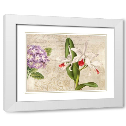 Botanique Moderne III White Modern Wood Framed Art Print with Double Matting by Dellal, Remy