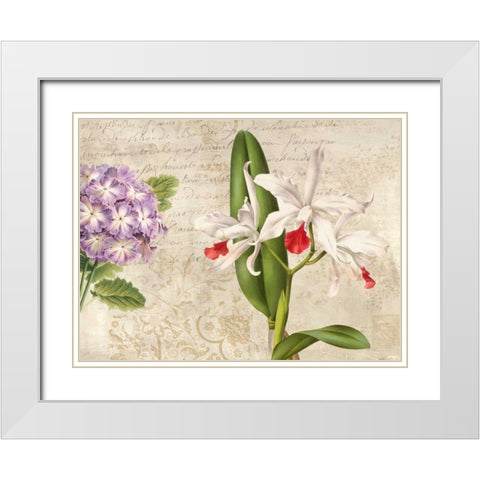 Botanique Moderne III White Modern Wood Framed Art Print with Double Matting by Dellal, Remy