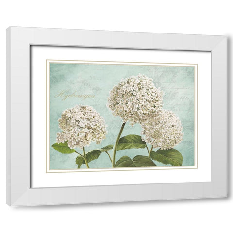Hydrangeas I (Aqua) White Modern Wood Framed Art Print with Double Matting by Remy, Dellal