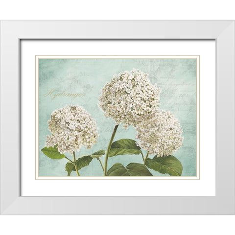 Hydrangeas I (Aqua) White Modern Wood Framed Art Print with Double Matting by Remy, Dellal