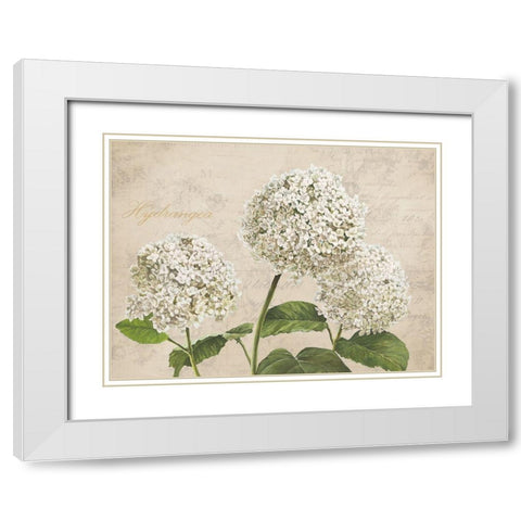Hydrangeas I (Neutre) White Modern Wood Framed Art Print with Double Matting by Remy, Dellal
