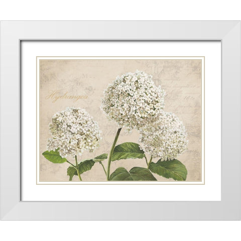 Hydrangeas I (Neutre) White Modern Wood Framed Art Print with Double Matting by Remy, Dellal