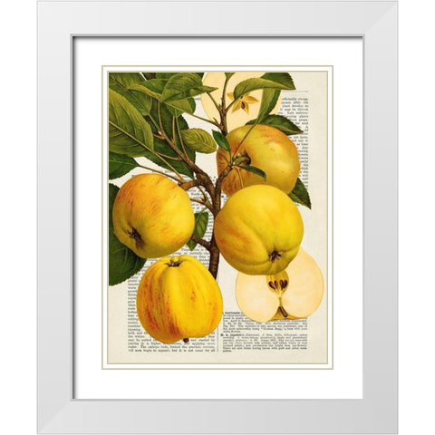 Fruits de saison, Pommes White Modern Wood Framed Art Print with Double Matting by Dellal, Remy