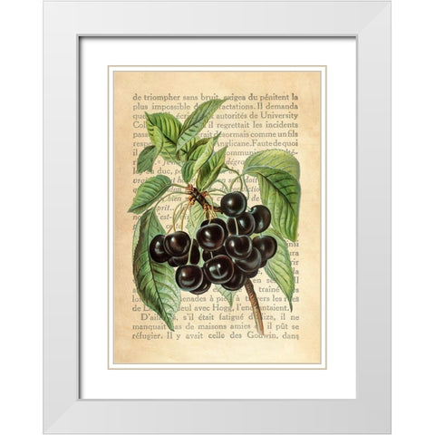 Cherries- After J. Wright White Modern Wood Framed Art Print with Double Matting by Dellal, Remy