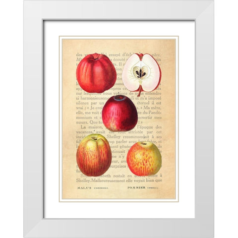 Apple- After Redoute White Modern Wood Framed Art Print with Double Matting by Dellal, Remy