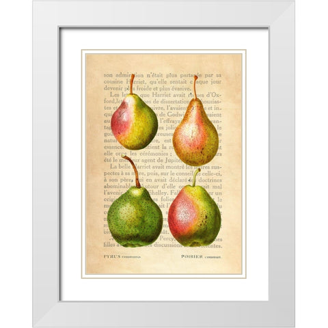 Pears- After Redoute White Modern Wood Framed Art Print with Double Matting by Dellal, Remy