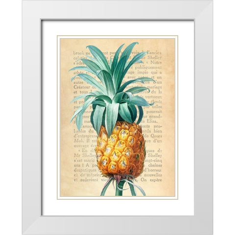 Pineapple- After Redoute White Modern Wood Framed Art Print with Double Matting by Dellal, Remy