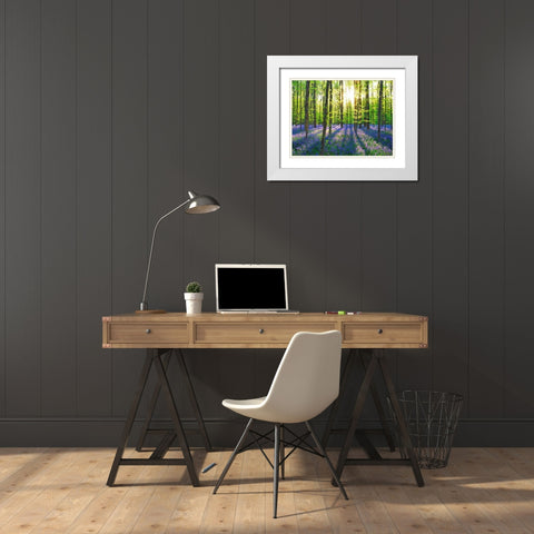 Beech forest with bluebells, Belgium White Modern Wood Framed Art Print with Double Matting by Krahmer, Frank