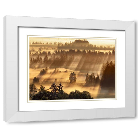 Fog impression at Sindelbachfilz, Bavaria, Germany White Modern Wood Framed Art Print with Double Matting by Krahmer, Frank