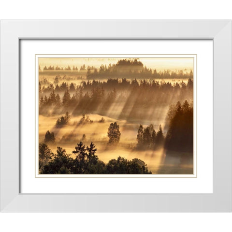 Fog impression at Sindelbachfilz, Bavaria, Germany White Modern Wood Framed Art Print with Double Matting by Krahmer, Frank